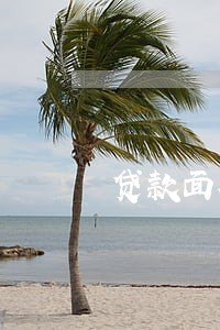 贷款面签通过后 再逾期 贷款面签通过后 再逾期